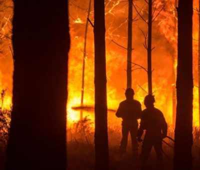 La ONU pide invertir más en prevención que en extinción ante el aumento de incendios