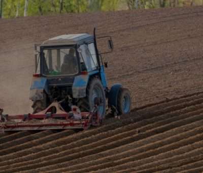 Cultivador